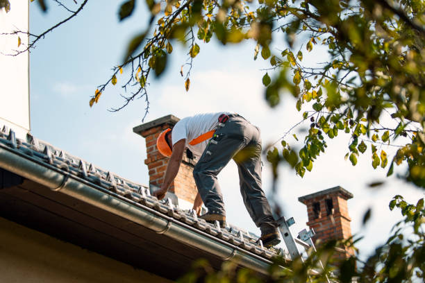 Best Gutter Installation and Roofing  in Wartburg, TN