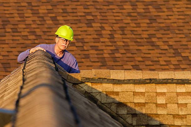 Professional Roofing Contractor in Wartburg, TN