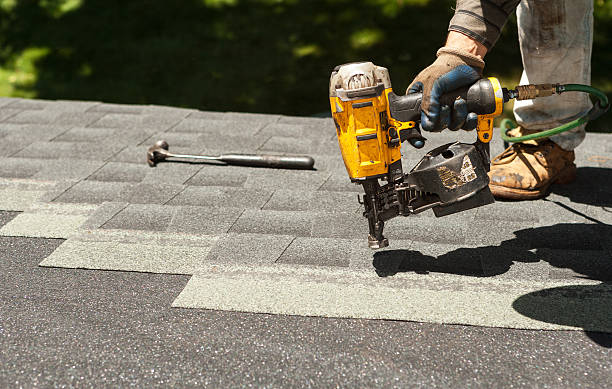 Best Roof Gutter Cleaning  in Wartburg, TN
