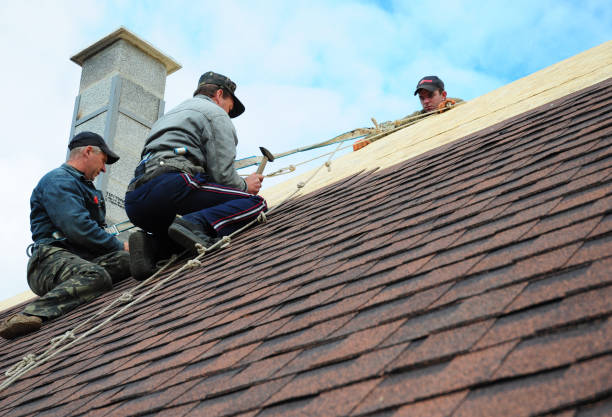 Best Roof Maintenance Services  in Wartburg, TN