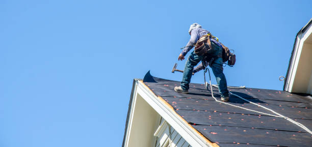 Best Emergency Roof Repair  in Wartburg, TN